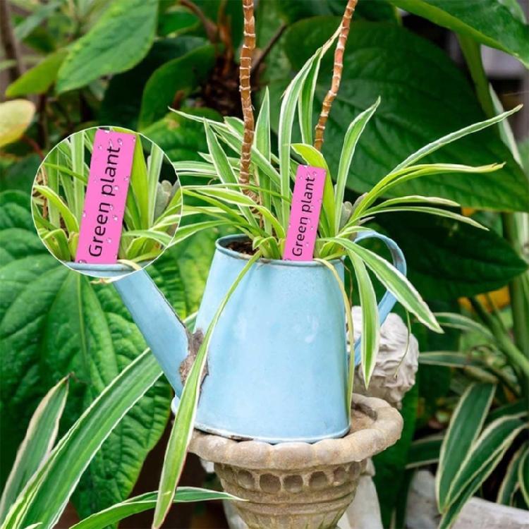 600pack Colorful Garden Sign with Spiked Bottom Plastic Waterproof Hanging Label for Secure Placement in Soil or Pots