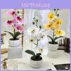 Flower Bonsai Phalaenopsis Desk Decor For Home Office Decoration Wedding