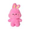 NewJeans Bunini Medium Doll Pink
