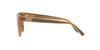 Sunglasses HC8359U CD455 52513H MILKY AMBER 56 [Coach]
