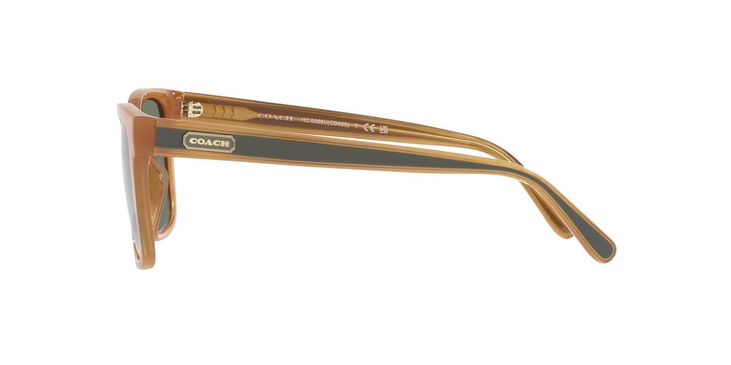 Sunglasses HC8359U CD455 52513H MILKY AMBER 56 [Coach]