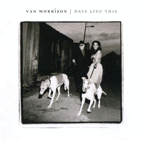 

CD VAN MORRISON - Days Like This 3145273072 Polydor 1995 US Rock Used