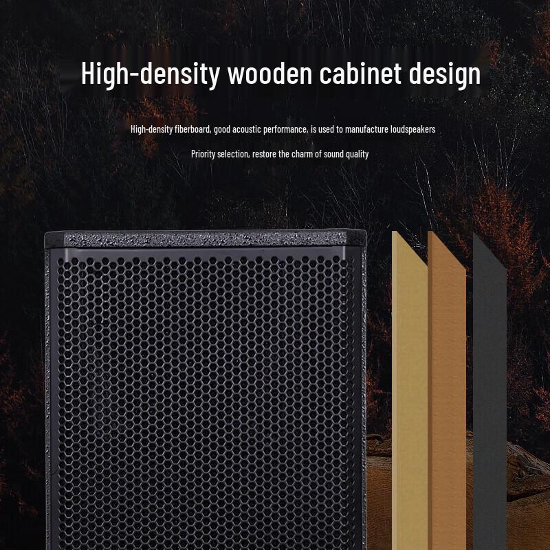 SAST Professional Stage Audio System with Mixer and 15-inch Speakers CN plug (adapter included)