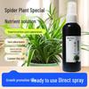 Spider Plant Growth & Rooting Liquid Fertilizer for Golden Edge Varieties