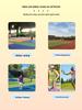 3K Carbon Fiber Pickleball Paddle Set - Advanced Matte Sports Equipment