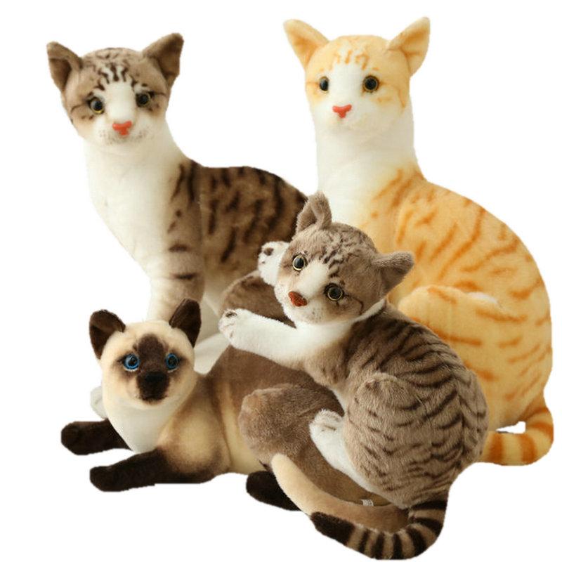 My Extreme Outdoor Activities Boys Lifelike Siamese Cat Plush Toys Stuffed Animals Simulation American Shorthair Cat Plushie Dolls For Children Pet Toy Decor