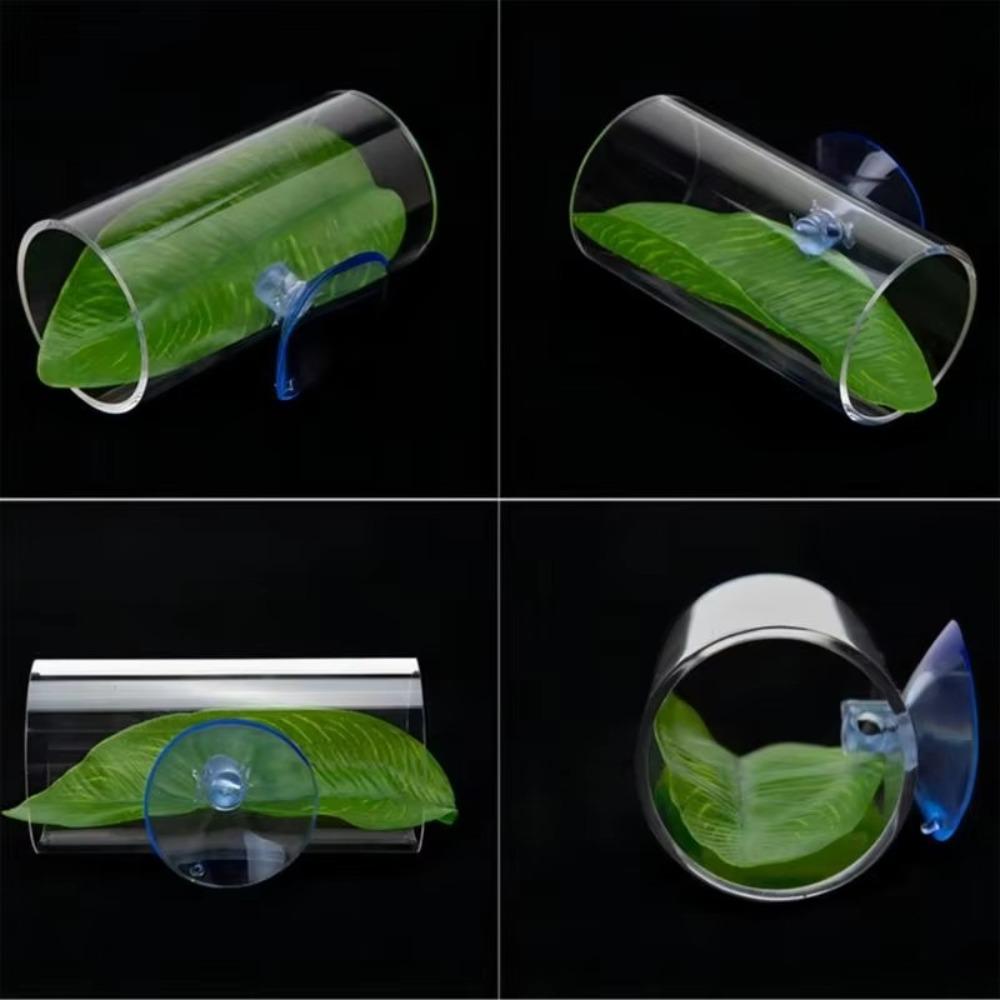 Transparent Aquarium Betta Fish Tunnel With Leaves Pad Betta Fish Tank Decorations