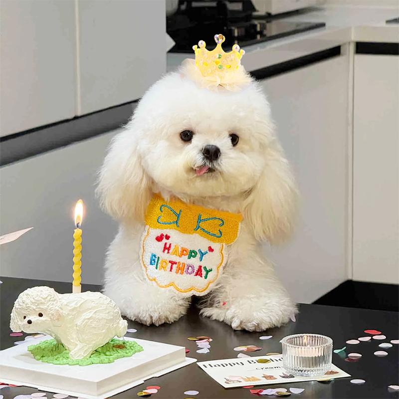 Haustier Geburtstagskrone Hundegeburtstag Verkleiden Fotografie Requisiten Zubehör Niedliche Haustierkrone Kopfschmuck Prinzessin Haustieroutfit Haustierbedarf