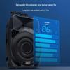 SAST A89 Series 12-inch Bass Stage Speaker (CN Version)