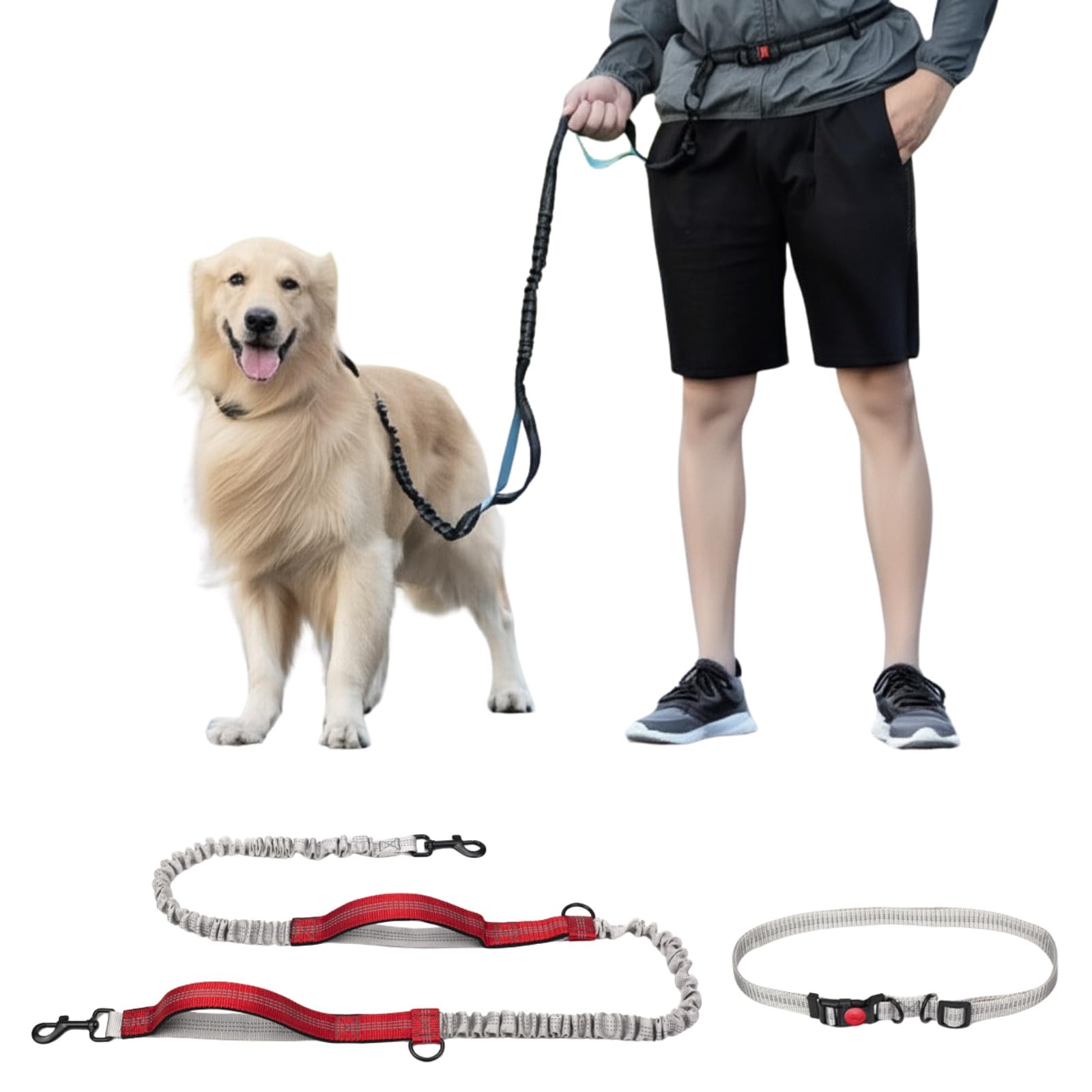 

Letics Пояс для собаки Свободные руки Большой Средний Маленький Свободный Поводок-обертка Свободный Бег Ходьба Длинный Собаки Собаки Собаки Растягивающийся, (Красный и Серый)