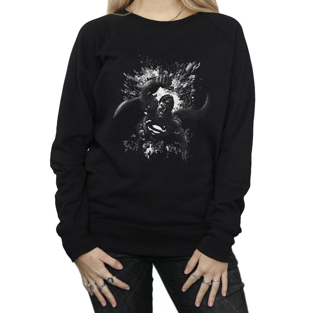 DC Comics Womens/Ladies Superman Spot Sweatshirt