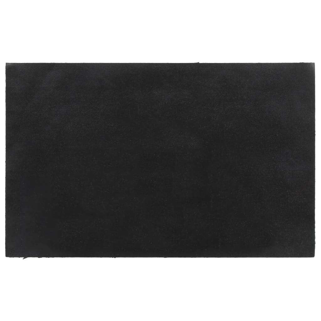 Doormat Dark Grey 50x80 cm Coir Fiber Tufted