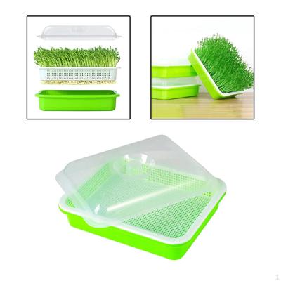 Erweitern Sie Ihren Garten mit einer Saatkeimschale mit hoher Kapazität