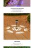 Solar Ground Stake Lights - Waterproof Outdoor Lawn and Garden Decor