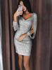 Sequin Tassel Long Sleeve Bodycon Party Dress