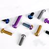 1 PC Multiple Color M5 P0.8mm X 8 9 10 12 14 16 20 25mm GR5 Titanium Alloy Screw T25 Torx Head For Bicycle Disc Brake