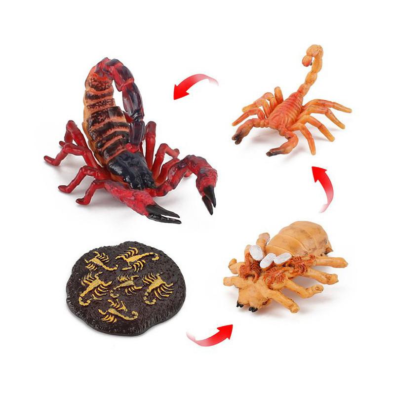 Enchanting Simulation Solid Turtle Chick Frog Animal Growth Cycle Montessori Teaching Aids For Unique Gifts And Decorative Accents