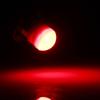 Ever-Bright T10 LED Red 3 Row 2835SMD Bulb Wedge Room Lamp Position Lamp Ceramic Light Circular Diffused Lens DC12V 10pcs
