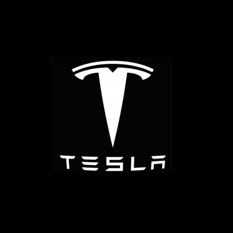 

HD For TESLA Model 3 Y RWD S X LED Car Door Projector Welcome Decoration Lamp Courtesy 3D Laser Ghost Shadow Light Accessories