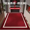 Door Mat Entryway Non Slip Washable Durable Home Indoor Floor Rug