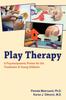 The Play Therapy : A Psychodynamic Primer for the Treatment of Young Children Book