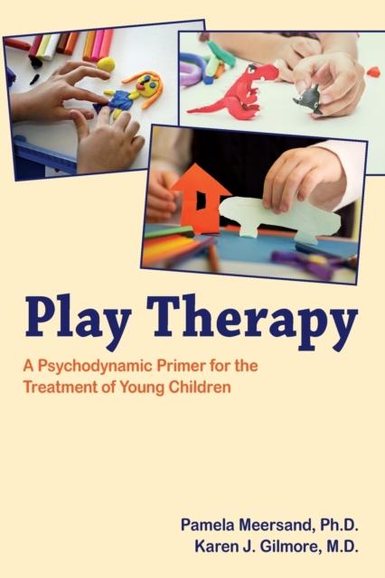 The Play Therapy : A Psychodynamic Primer for the Treatment of Young Children Book