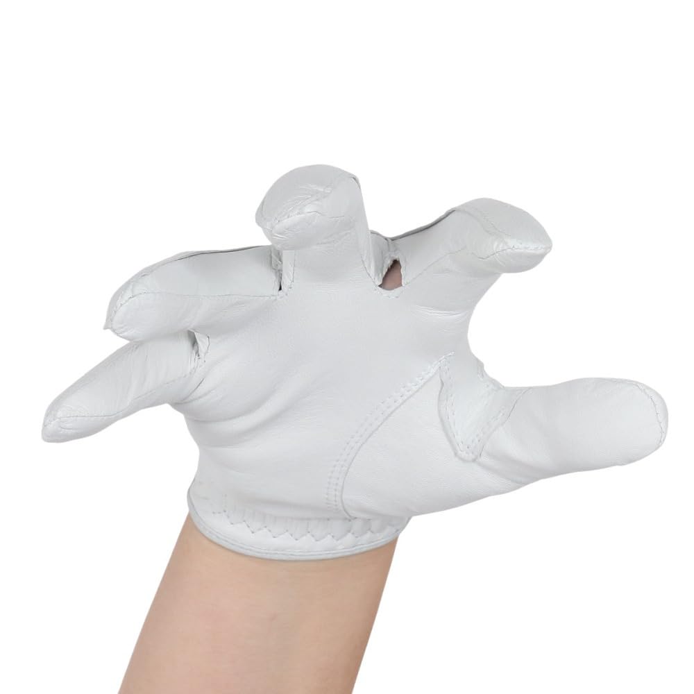 TITLEIST Professional Golf Glove TG73LHWT-23 LHWT LH White Right Hand 23cm