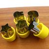 5Pcs Set Stainless Steel Fruit Cutting Embossing Mold Small Wonton Biscuit Mold Heart/Flower Shape Vegetables Cutter
