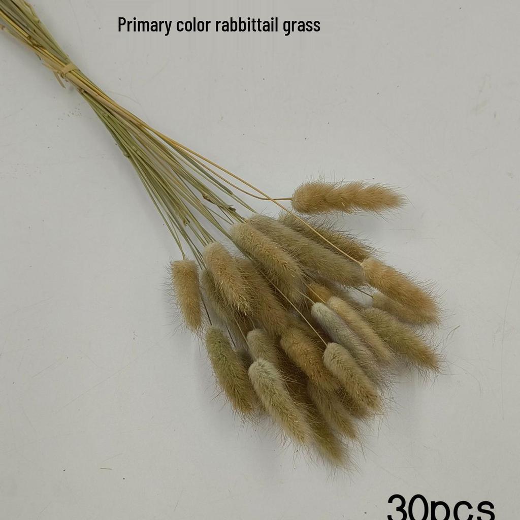 Whisk Rabbit Tail Grass Dried Flower Bouquet - Natural Pampas Grass & Small Reed