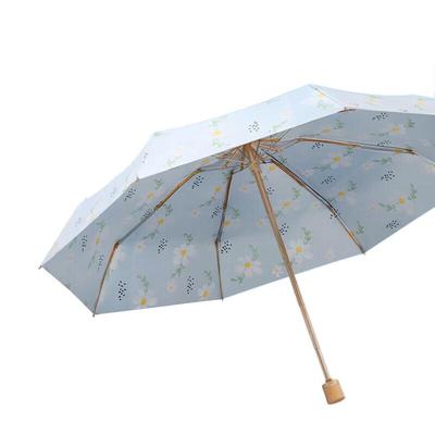 Accessoires – Regenschirme