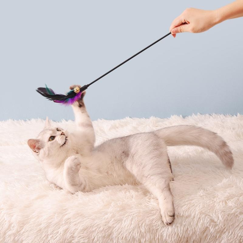 Interactive Cat Feather Toy 5pcs Set Wand With Bell Colorful Chicken Feather Stick For Pet Exercise Entertainment