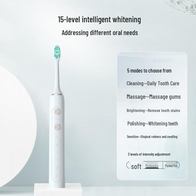 SID RT860 Rechargeable Sonic Electric Toothbrush