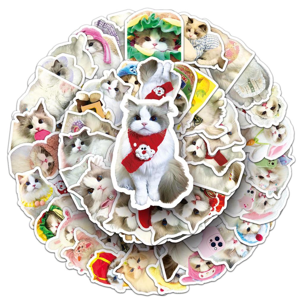 50 Cute Kittens Plush Graffiti Stickers for Creative Decoration - Ideal for Phone Cases & Skateboards