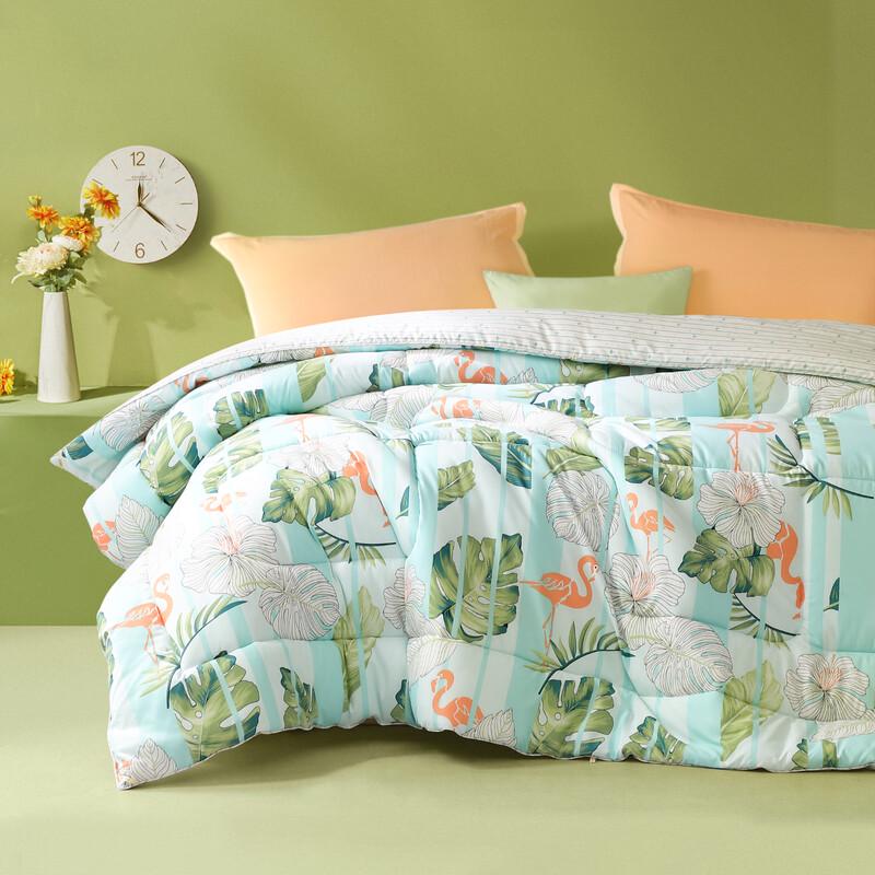 FUANNA Antibacterial Winter Quilt