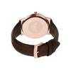 Hodinky AR11572 Hnědé [Emporio Armani] Pánské