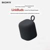 Sony SRS-LS1 LinkBuds Home Art Wireless Speaker