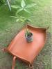 Garden Plant Cultivation Tray and Pad Set for Potted Plant Arrangement