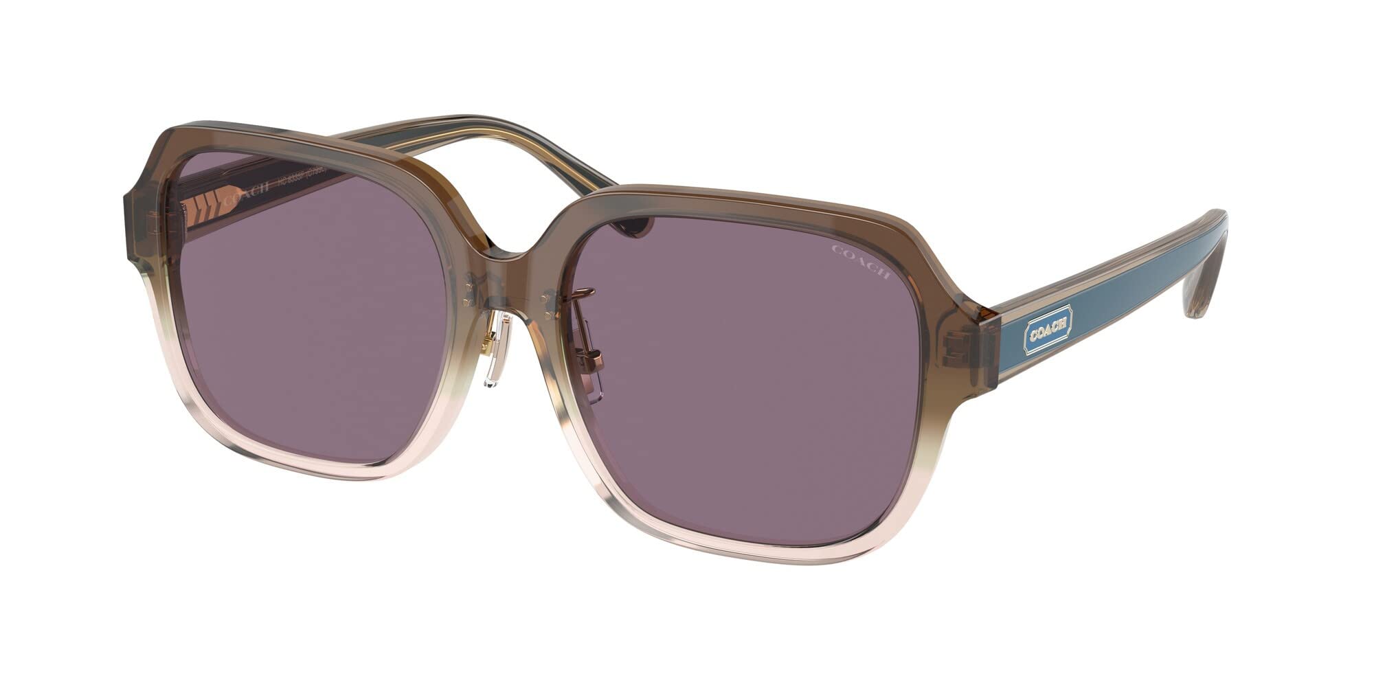 

Sunglasses HC8335F Brown Transparent Lens 56 [Coach] Gradient/Violet