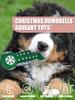 Christmas Dog Squeaky Dumbbell Toys, Santa Snowman Snowflake Pet Chew Toys, Festive Interactive Dog Toys for Teeth Cleaning