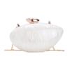 Acrylic Clutch Bag Women Oval Shell Shape Chain Strap Hard Structure Gender-Neutral Fashion Evening Handbag