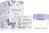 Lavender Nourishing Cream
