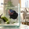 Local Seguro para Descanso Rede Betta Concha, Concha com Ventosa Cama para Peixe com Laço, Ornamento de Tanque de Plástico Cama de Ninho de Bolha para Decoração Forma