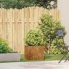 VidaXL Jardinière rouillé 40x40x40 cm acier inoxydable, pot de fleurs, support de plantes, lit surélevé, support de 860667
