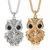 Owl Pendant Long Chain Necklace For Women With Gold Plated Alloy Gemstone Embellishments