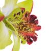 Summer Beach Hair Clip Flower Decoration Sea Vacation Side Bangs Hair Pin Hair Accessories for Daily Wear Parties Outings