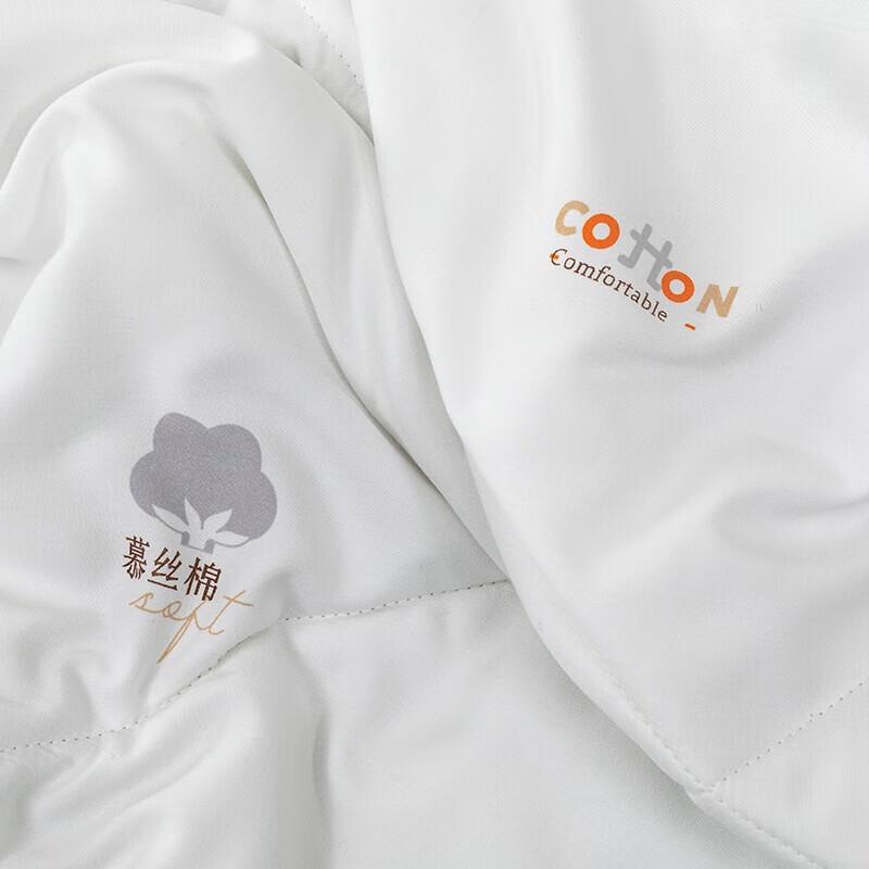 SOFTNIE XF-B2306 Antibacterial All-Season Quilt