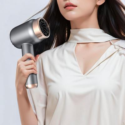 Portable Hair Dryer Professional for Hotel Art Painting Women Men