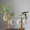 Hydroponic Plant Terrarium Vase Durable Clear Glass Ornament for Home Office Desktop Living Room Decoration