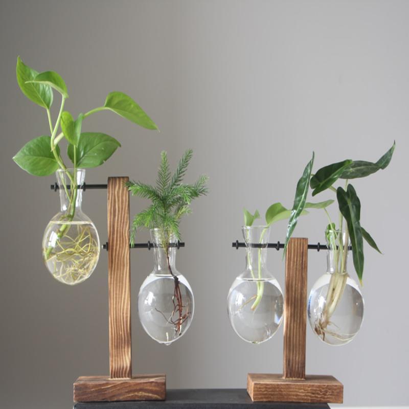 Hydroponic Plant Terrarium Vase Durable Clear Glass Ornament for Home Office Desktop Living Room Decoration