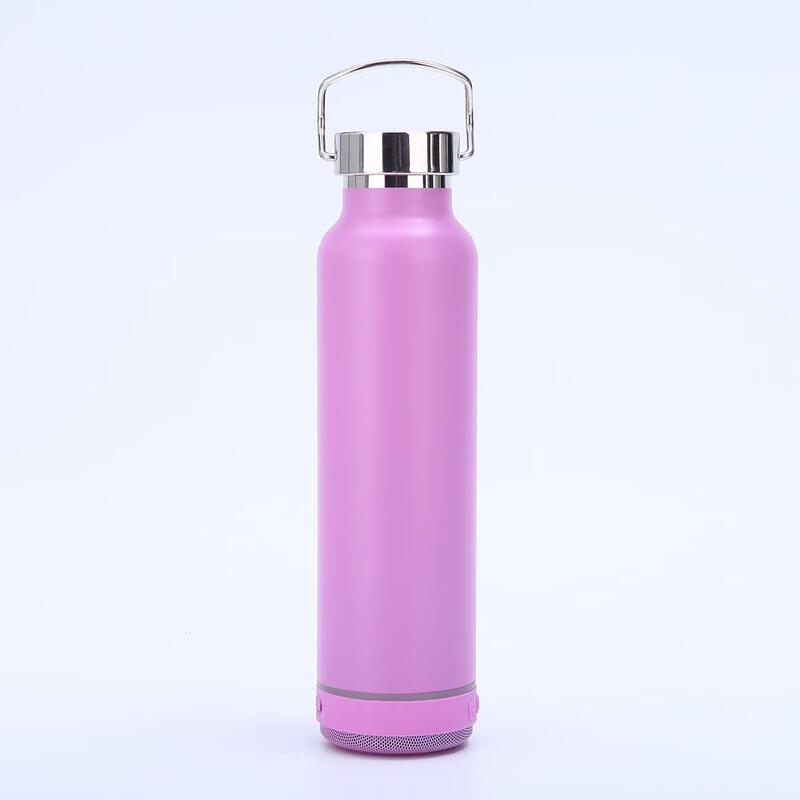 MRSIKEY Large Capacity Stainless Steel Insulated Music Tumbler